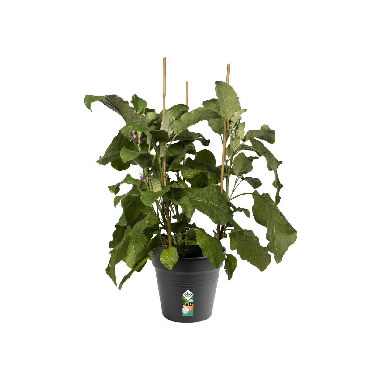 Green Basics Growpot 21Cm Living Black