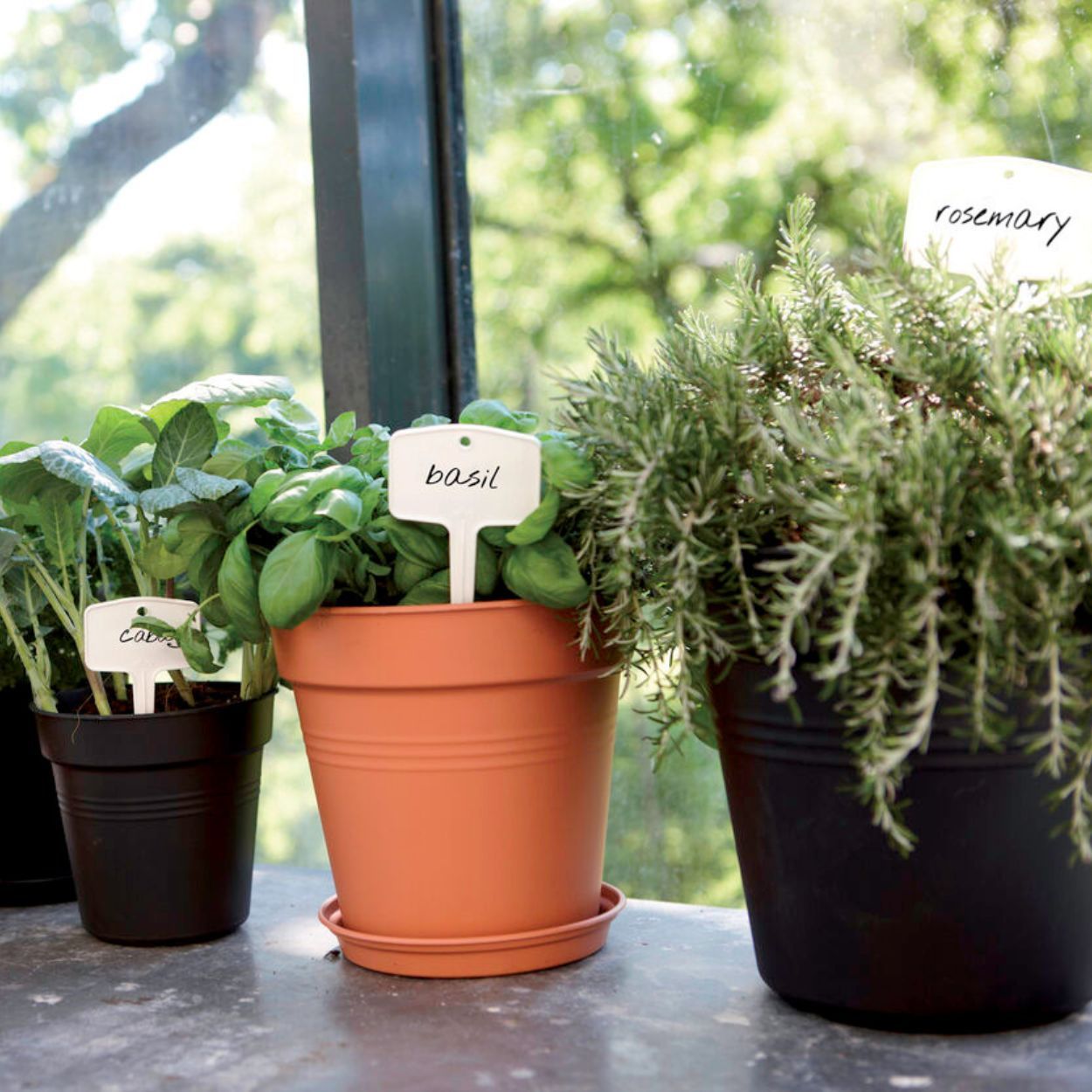 Green Basics Growpot 21Cm Living Black