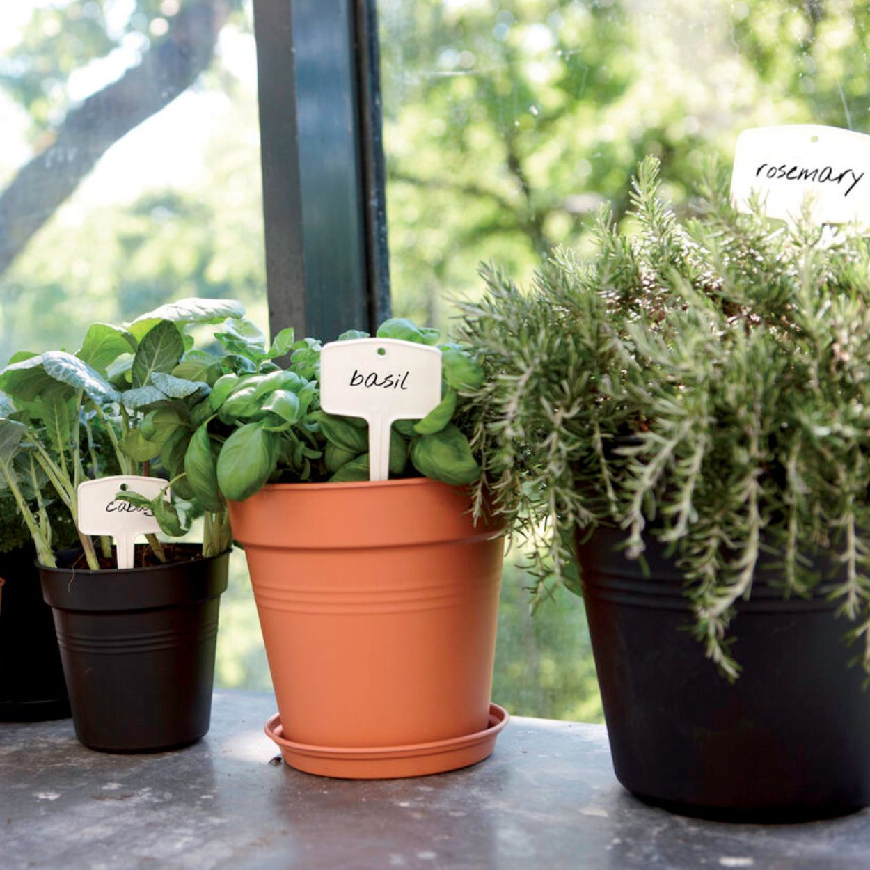 Green Basics Growpot 24Cm Living Black