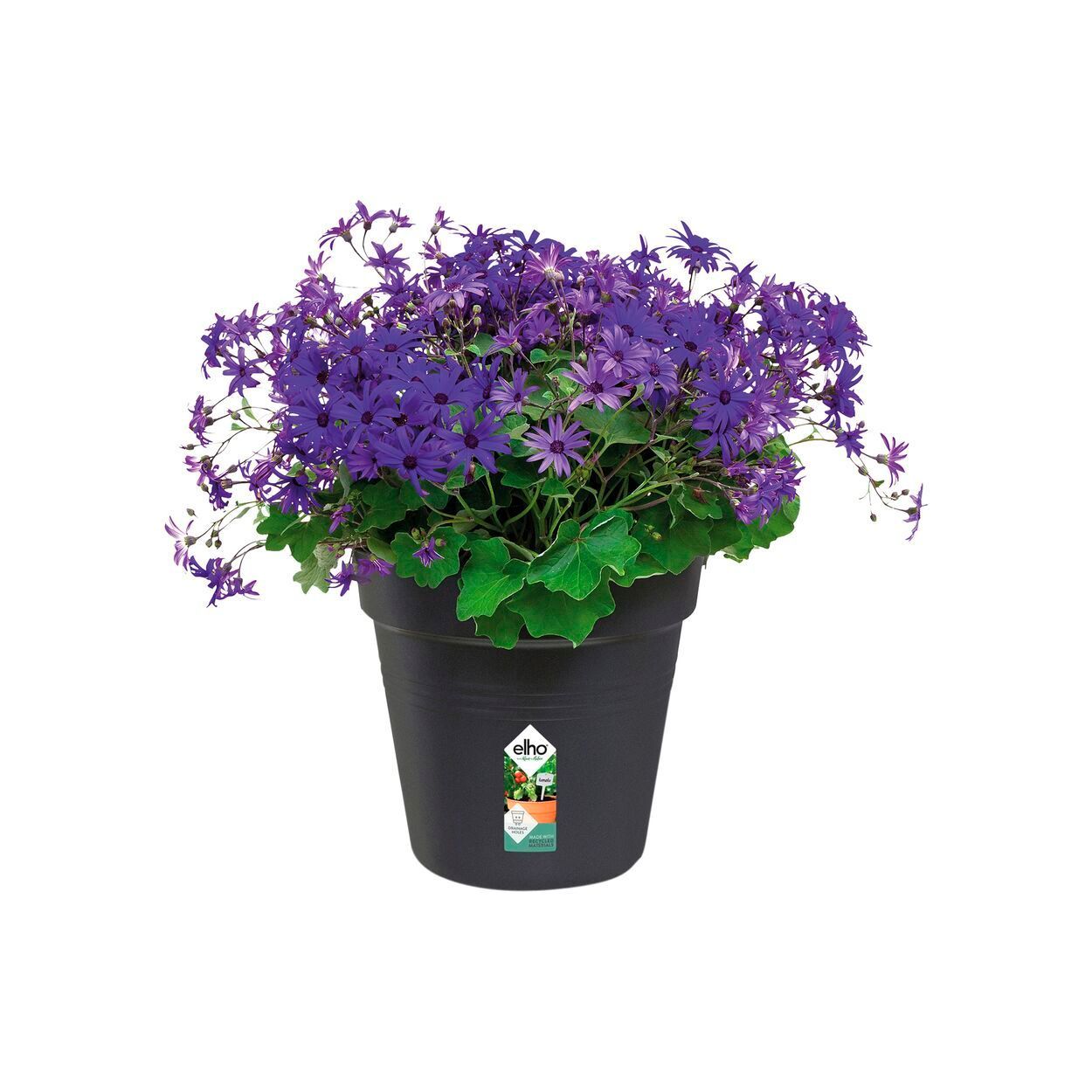 Green Basics Growpot 27Cm Living Black
