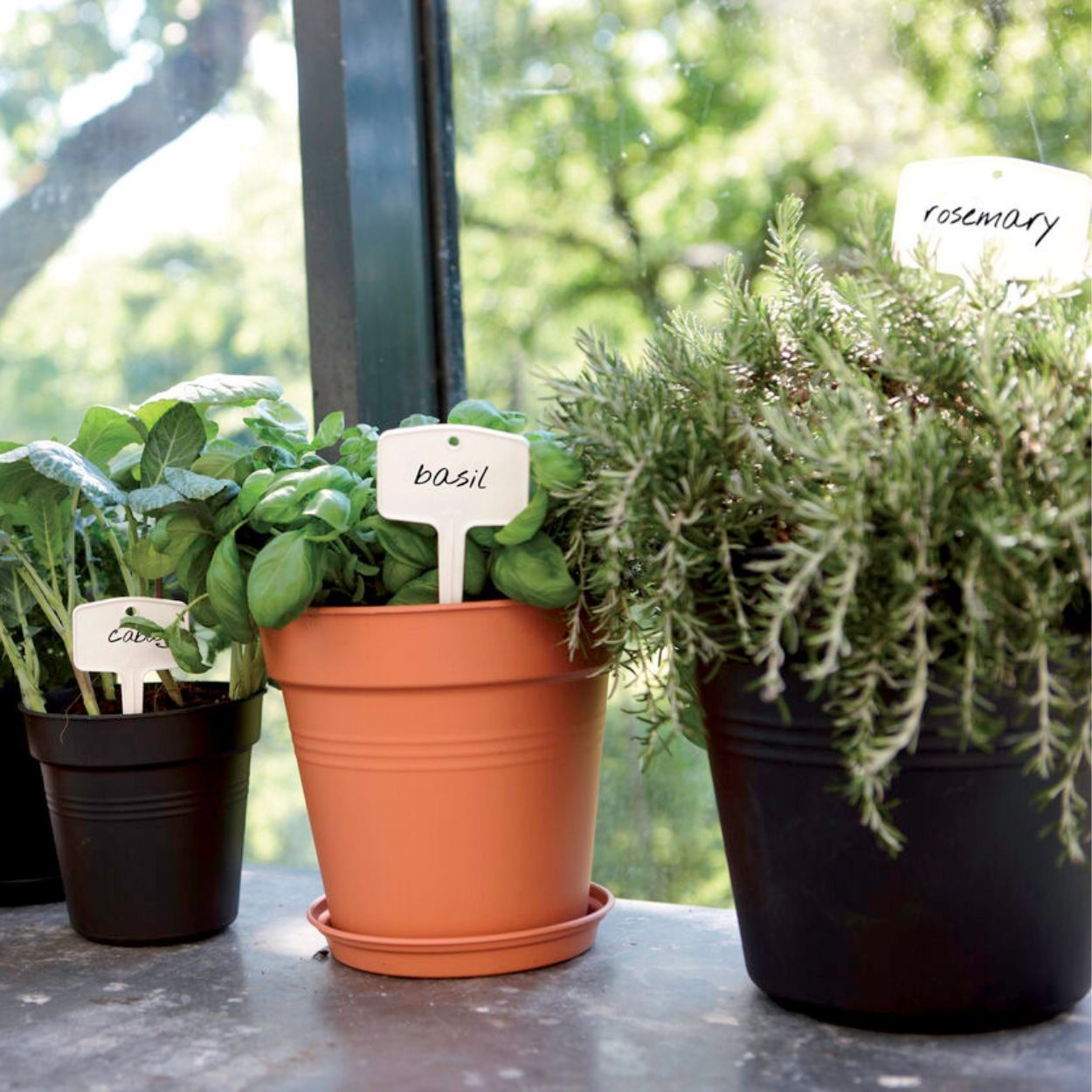 Green Basics Growpot 27Cm Living Black
