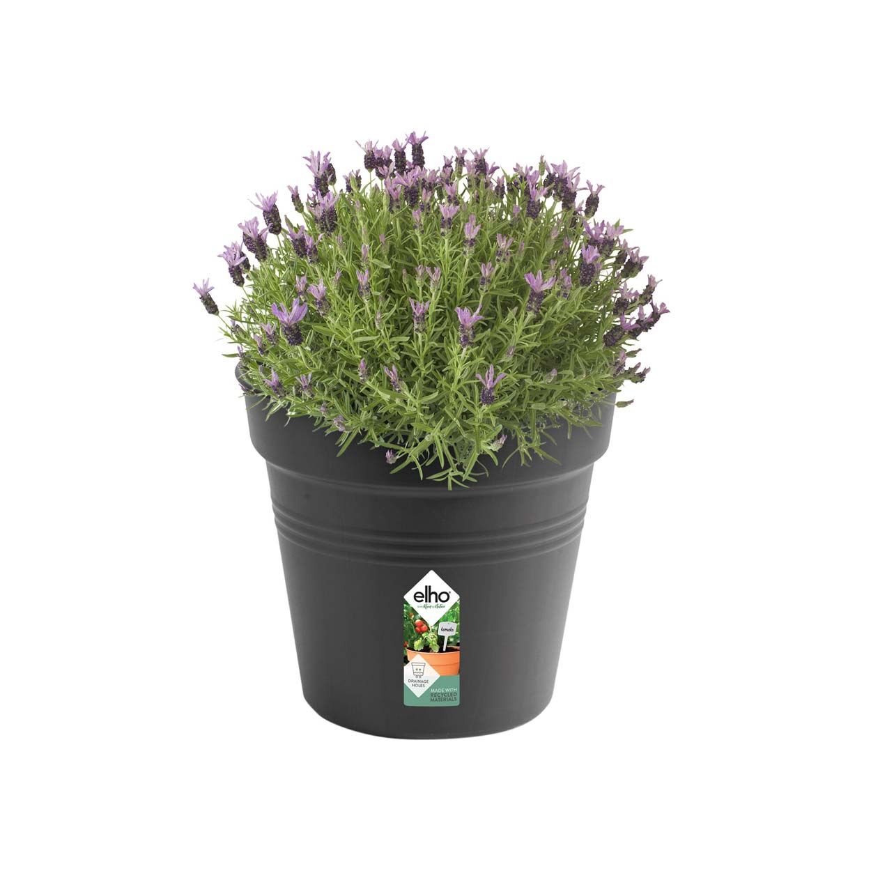 Green Basics Growpot 15Cm Living Black