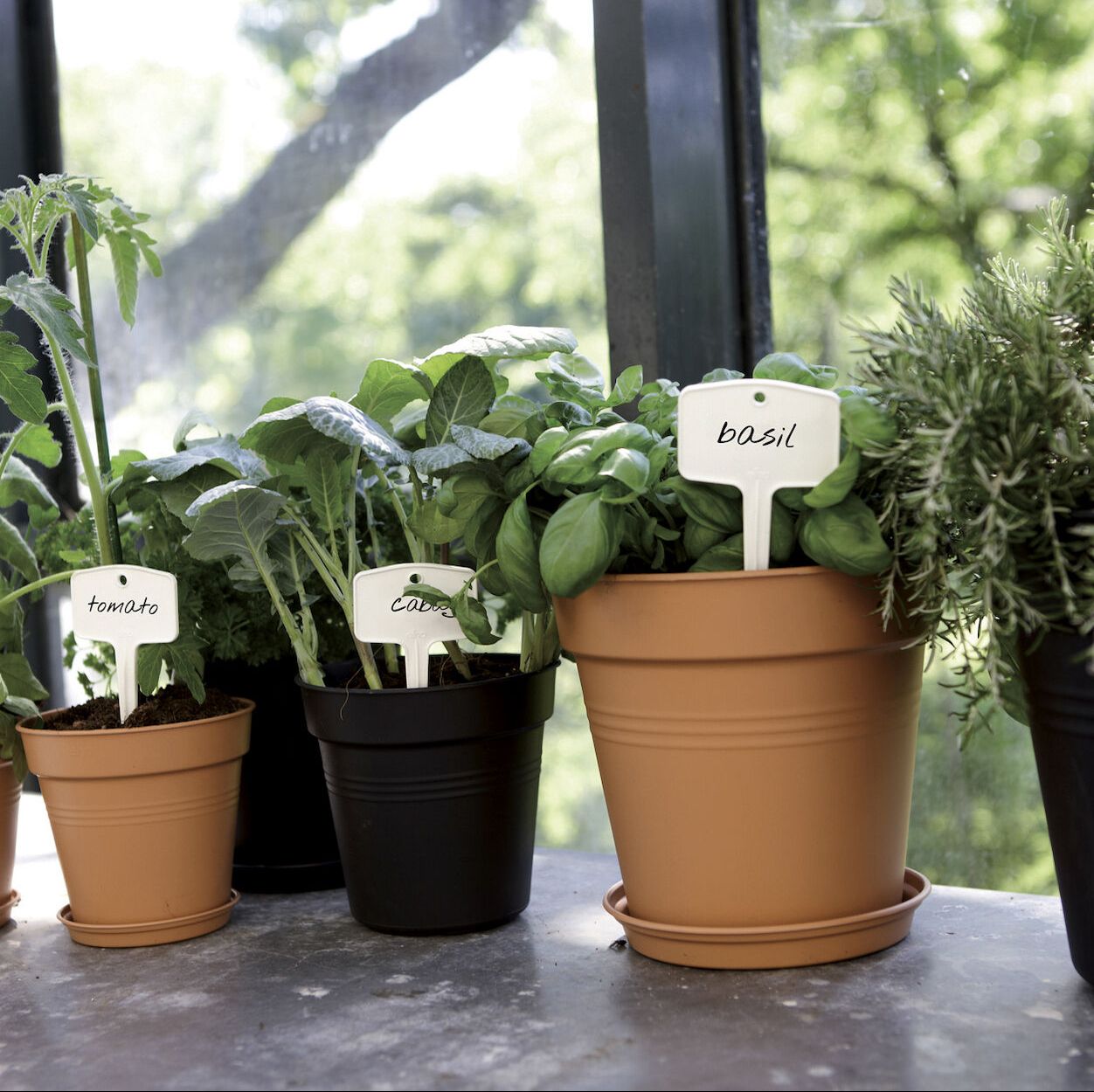 Green Basics Growpot 15Cm Living Black