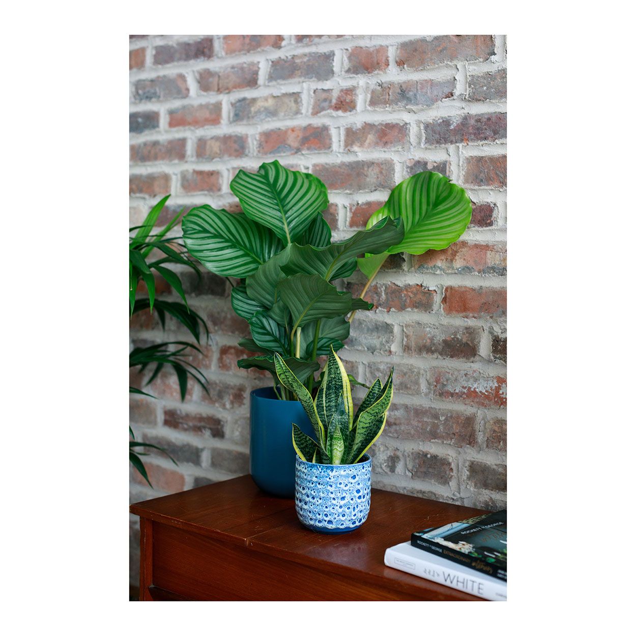 Sapphire Planter Blue 16cm