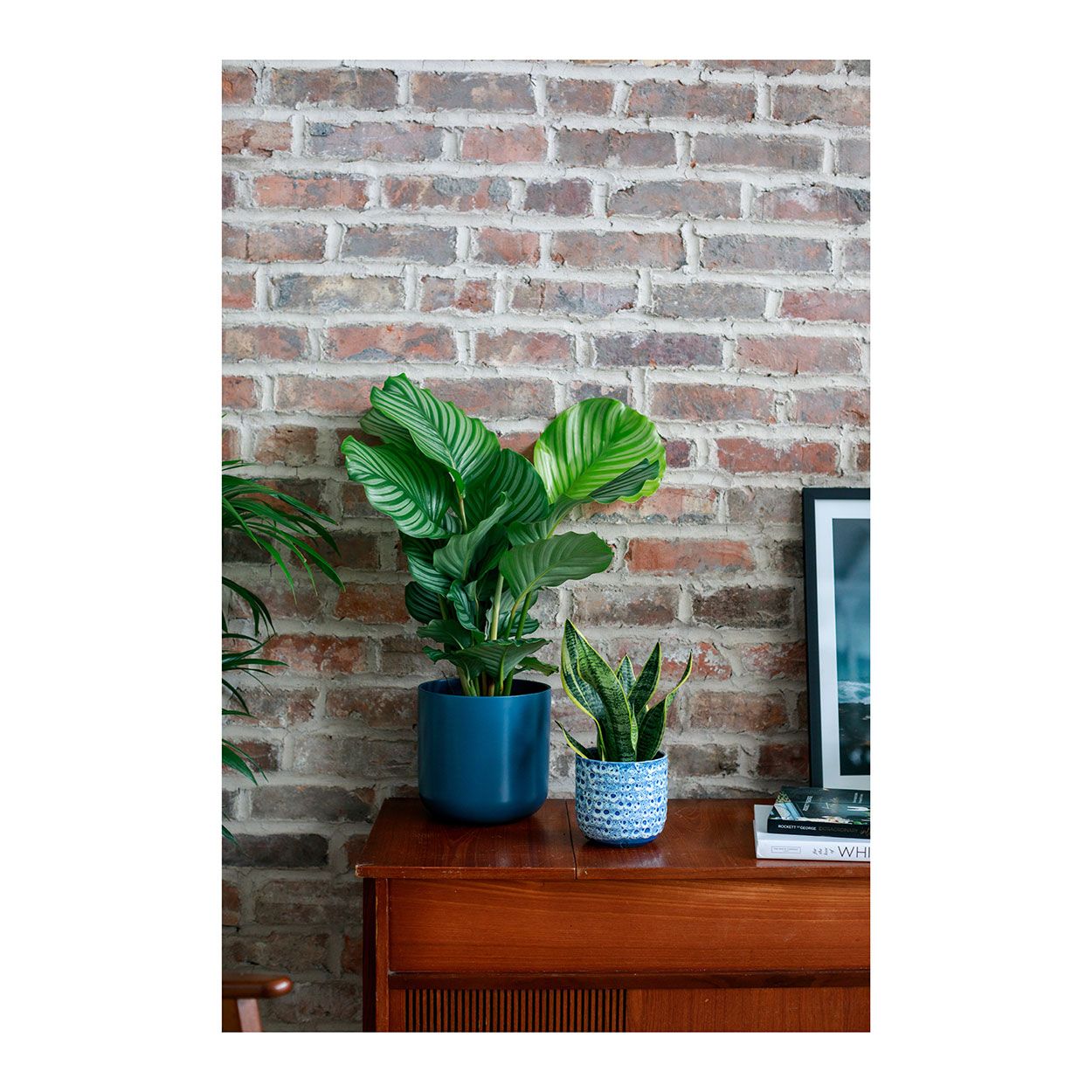 Sapphire Planter Blue 16cm