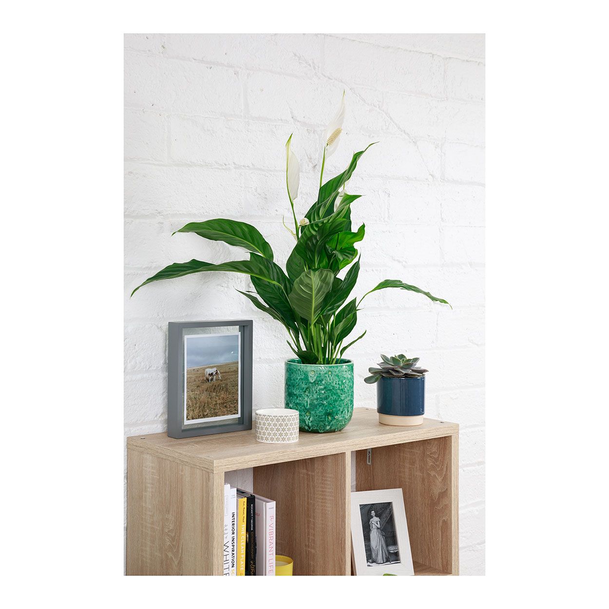 Emerald Glaze Planter Green 16Cm 