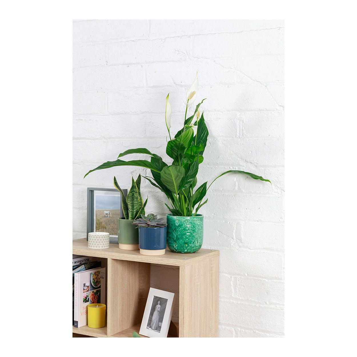 Emerald Glaze Planter Green 16Cm 