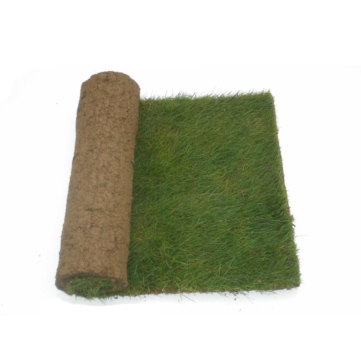 Premium Irish Turf Grass 20 Rolls
