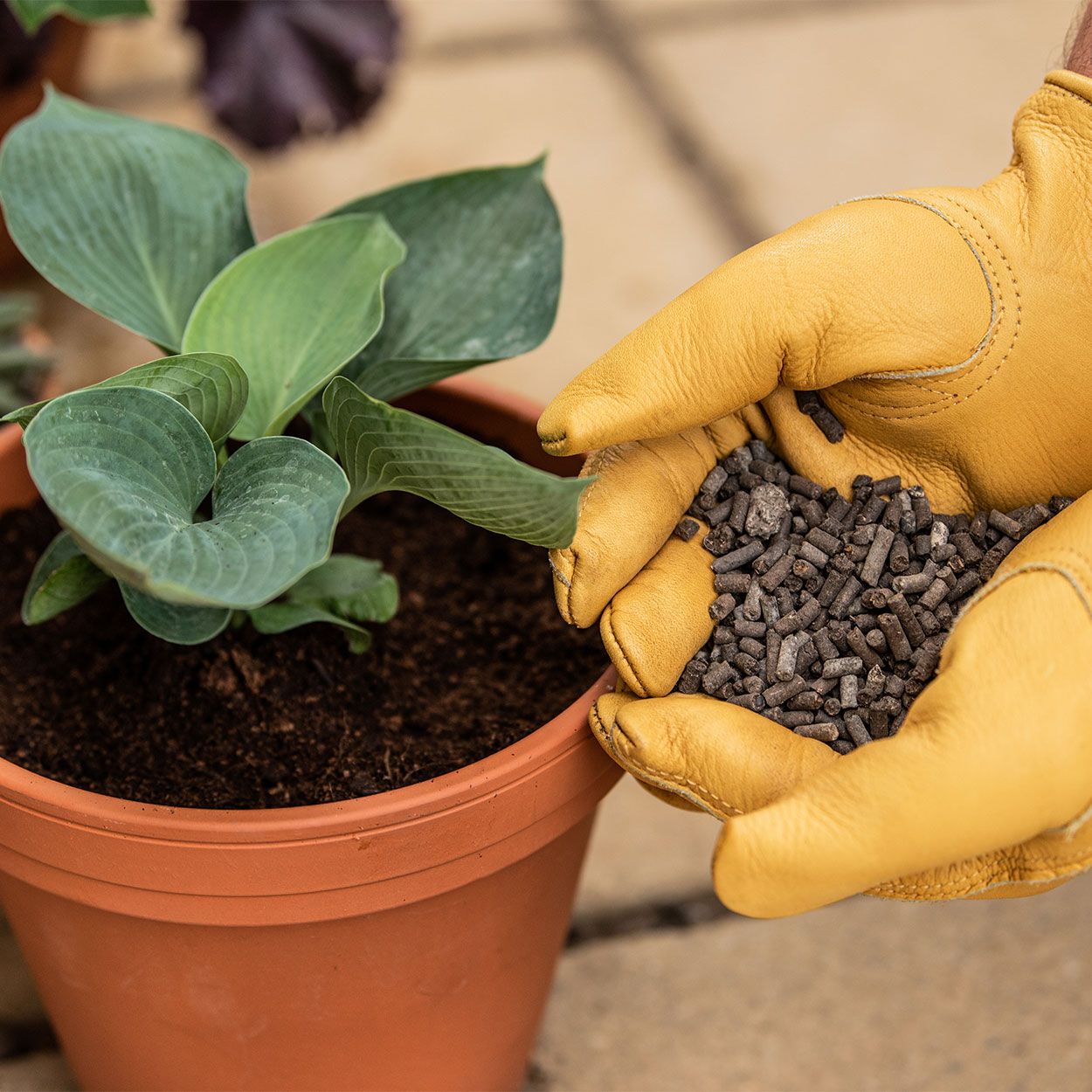 GS Organic Slug Stop Pellet Barrier Pouch