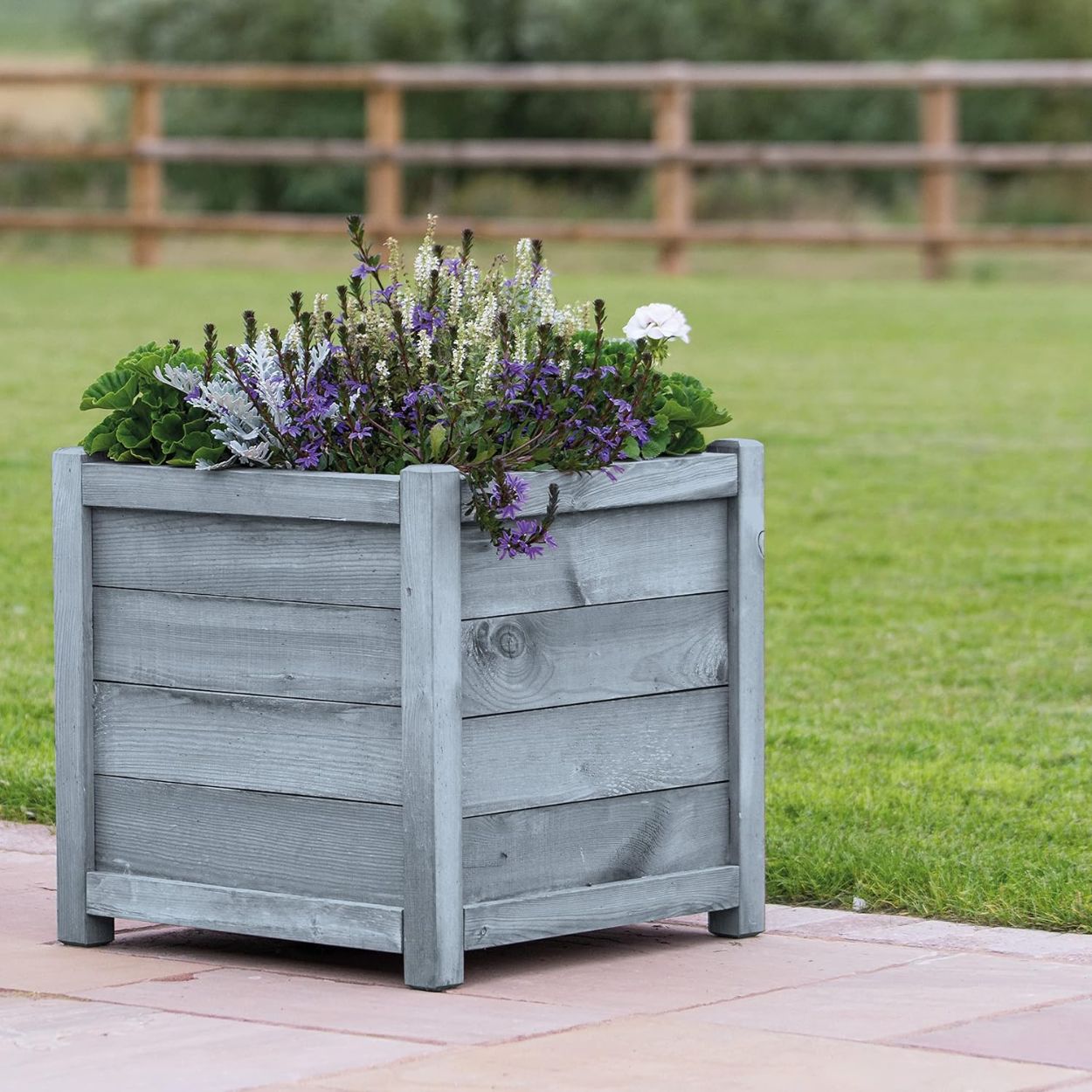 Johnstone's Garden Colours Wild Bluebell 1L