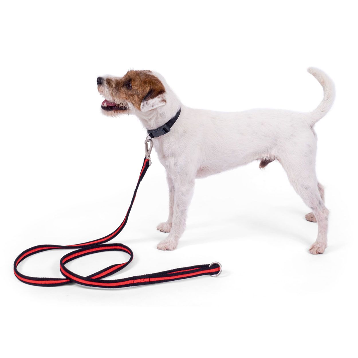 Training Lead