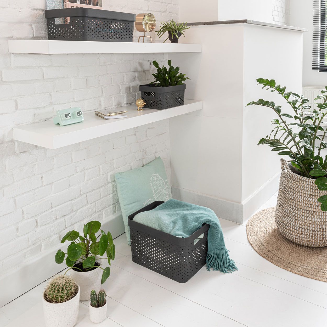 Curver Infinity Dots Storage Lge Grey