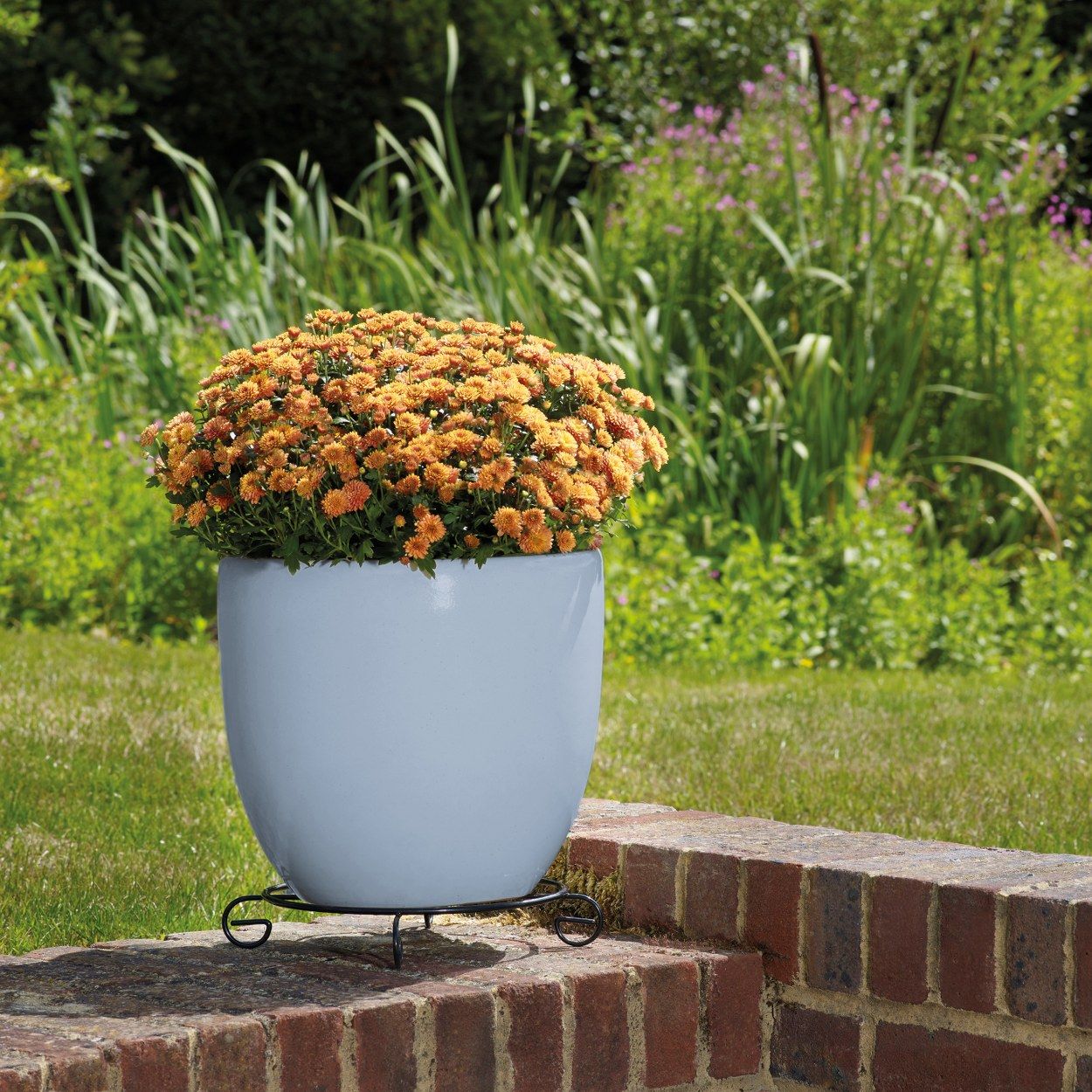 Brighton 26cm Sky Blue Egg Pot