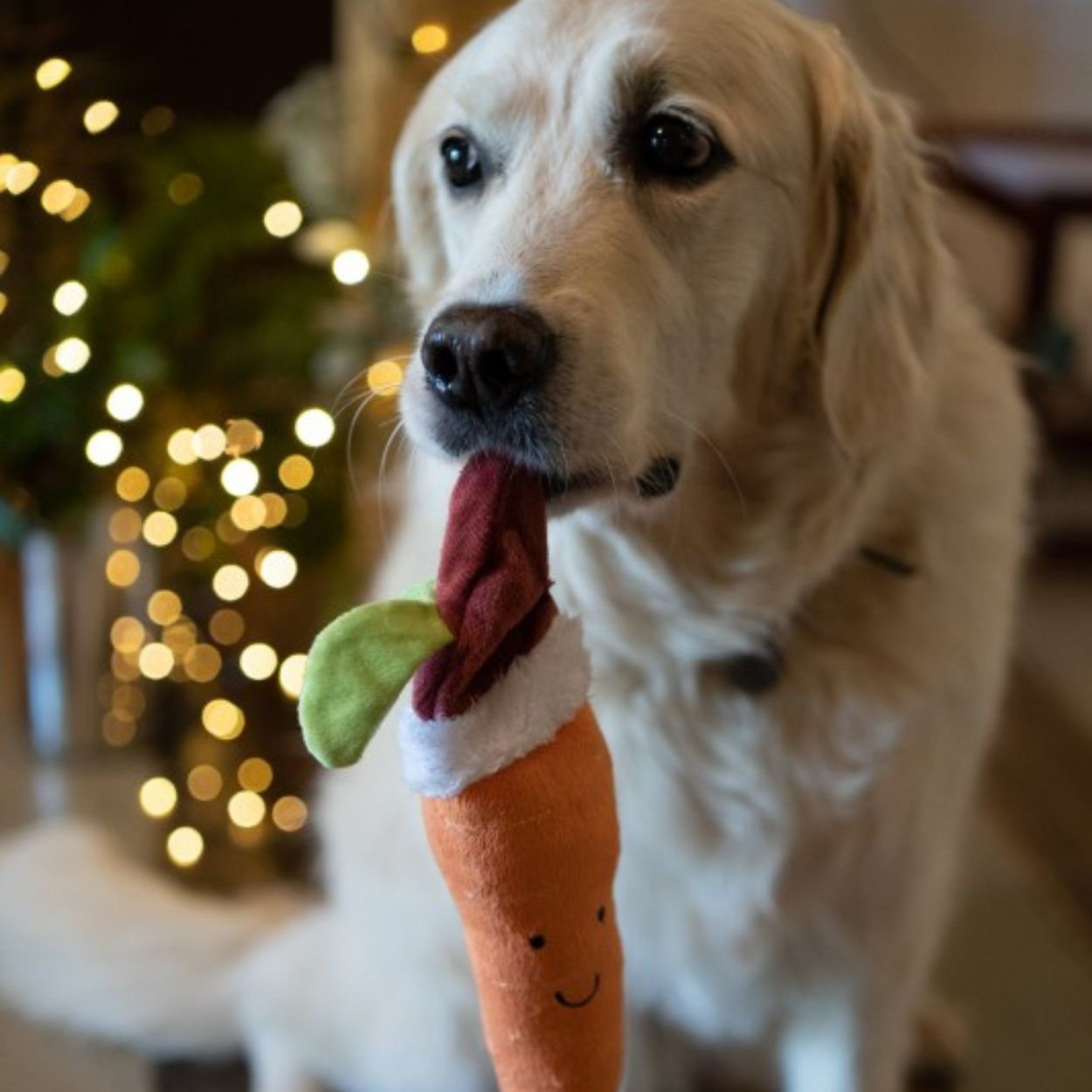 Carrot Christmas Dog Toy