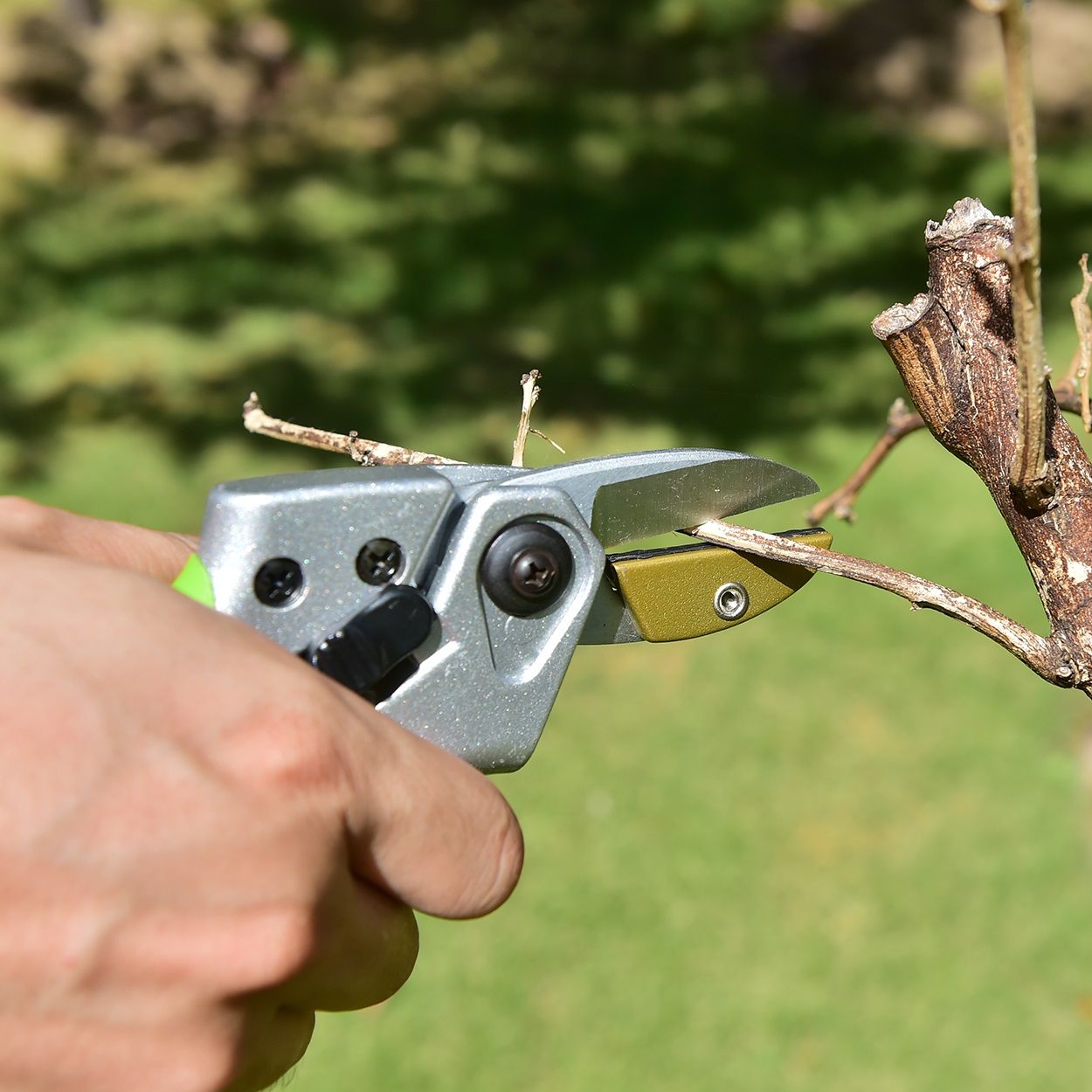 Yardsmith Anvil Pruner