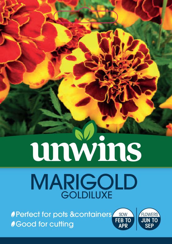 Marigold Goldiluxe