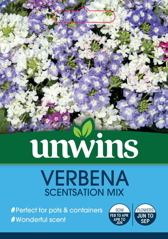 Verbena Scentsation Mix