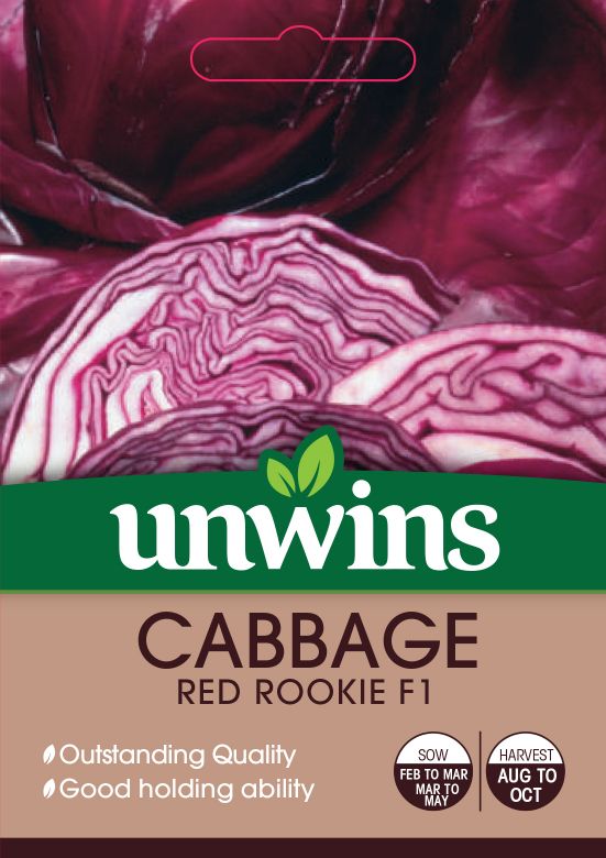 Cabbage (Round) Red Rookie F1