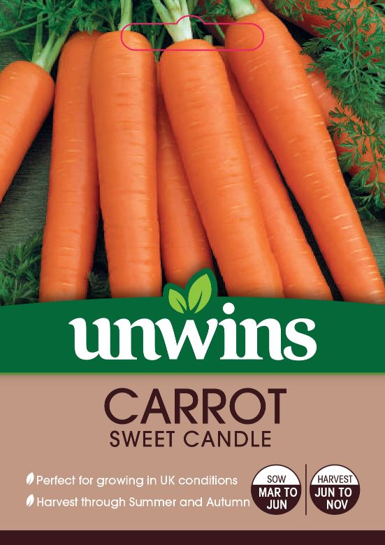 Carrot Sweet Candle