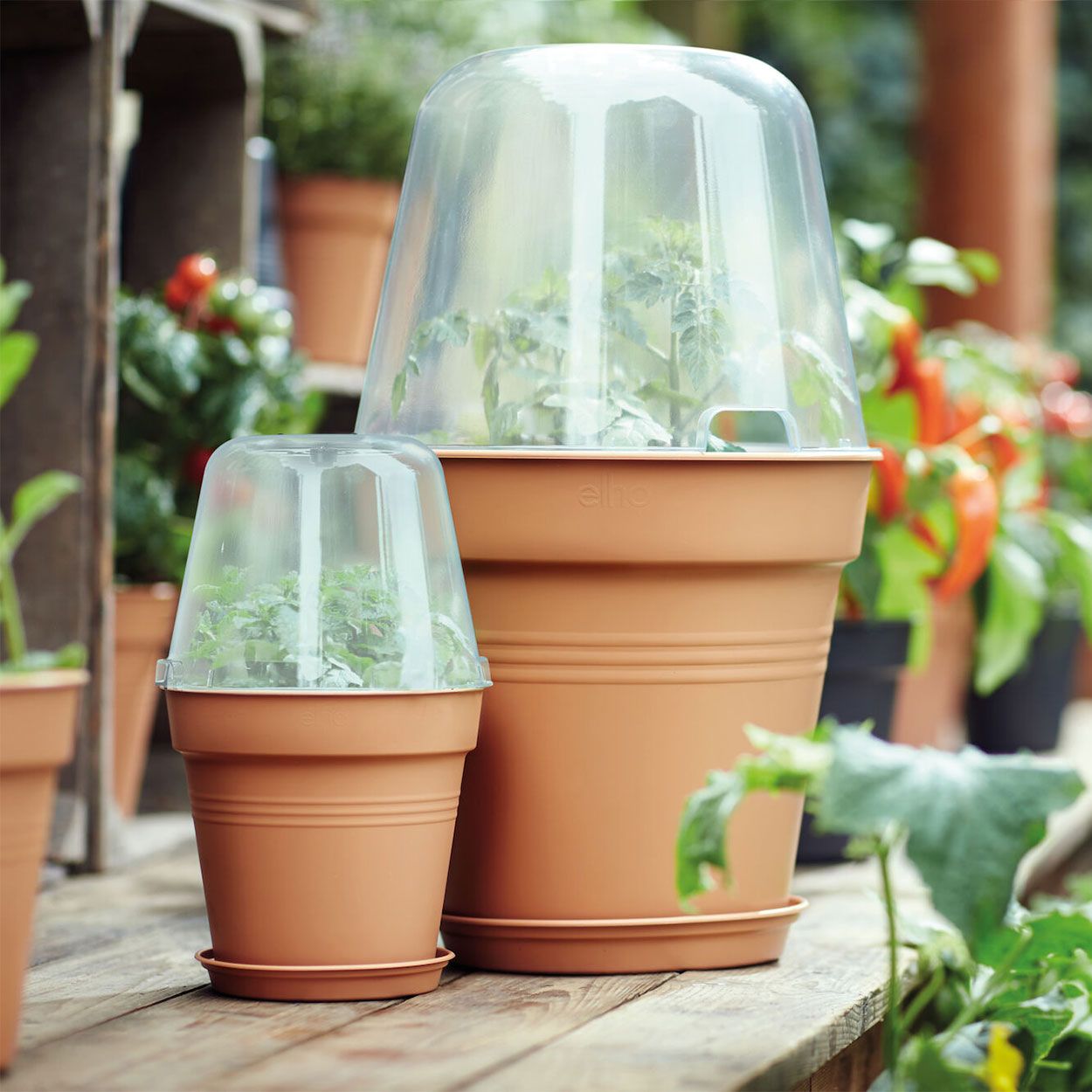 Green Basics Grow House Round 30cm