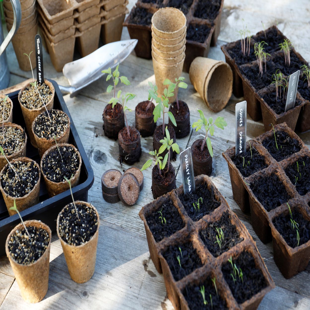 12Pk 8cm Gro-Sure Fibre Pots Round