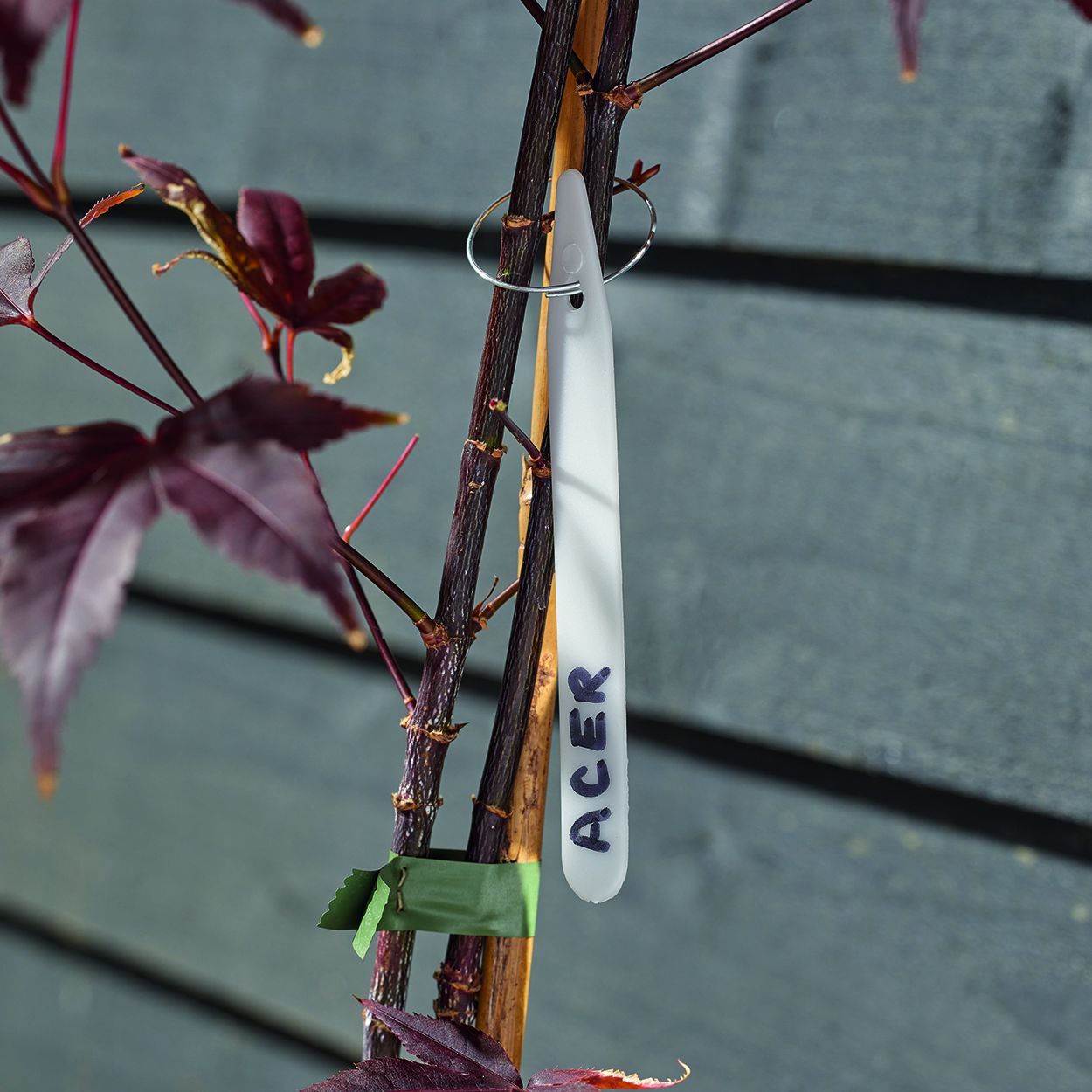 10cm Plant Labels 50pk