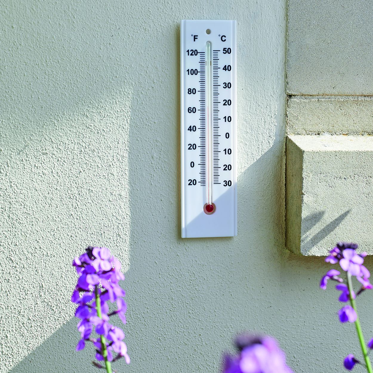 Wall Thermometer
