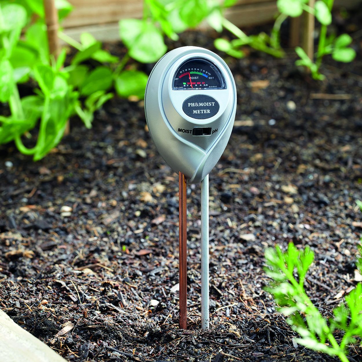 Moisture & pH Meter