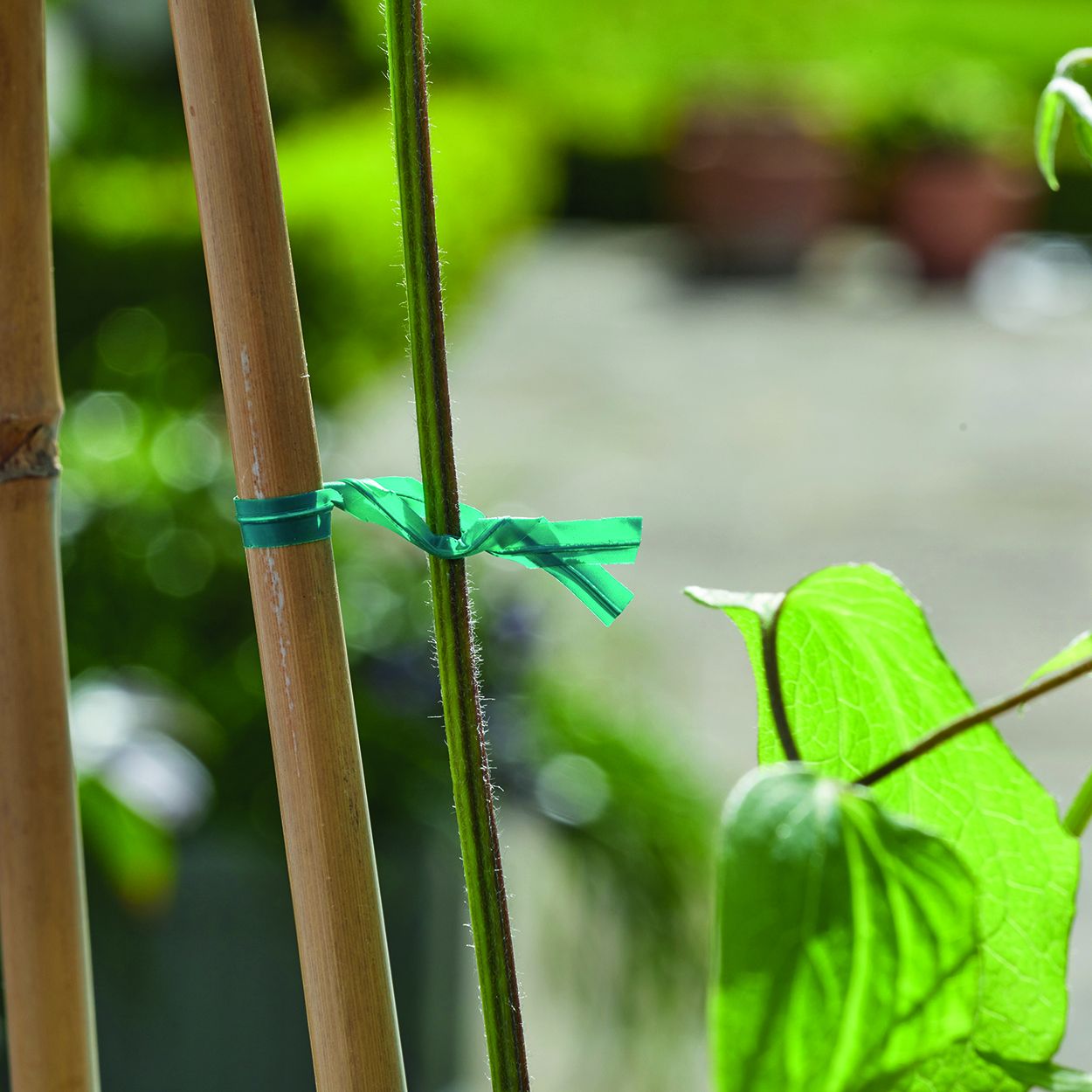 TwistyTie with cutter 50m