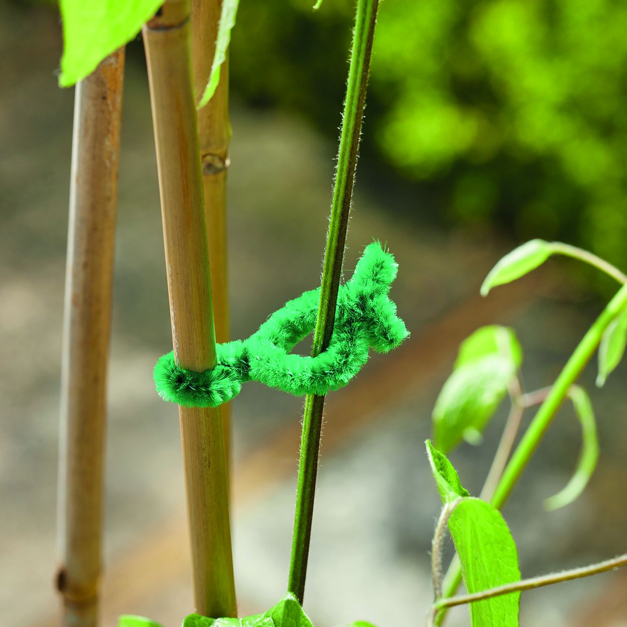 SofTies 15 cm 50-PK