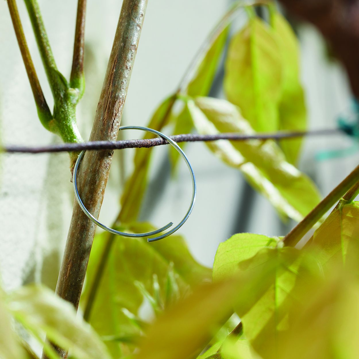 Plant Rings - Galvanised 100-PK