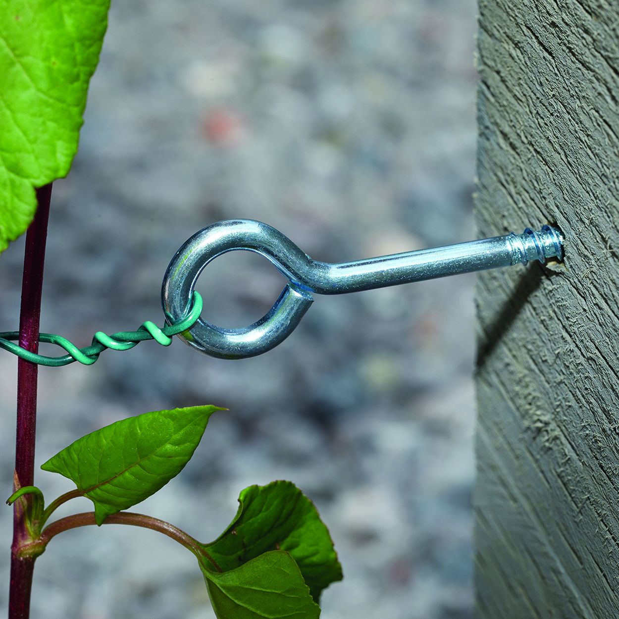 Screw-In Vine Eyes 6-PK