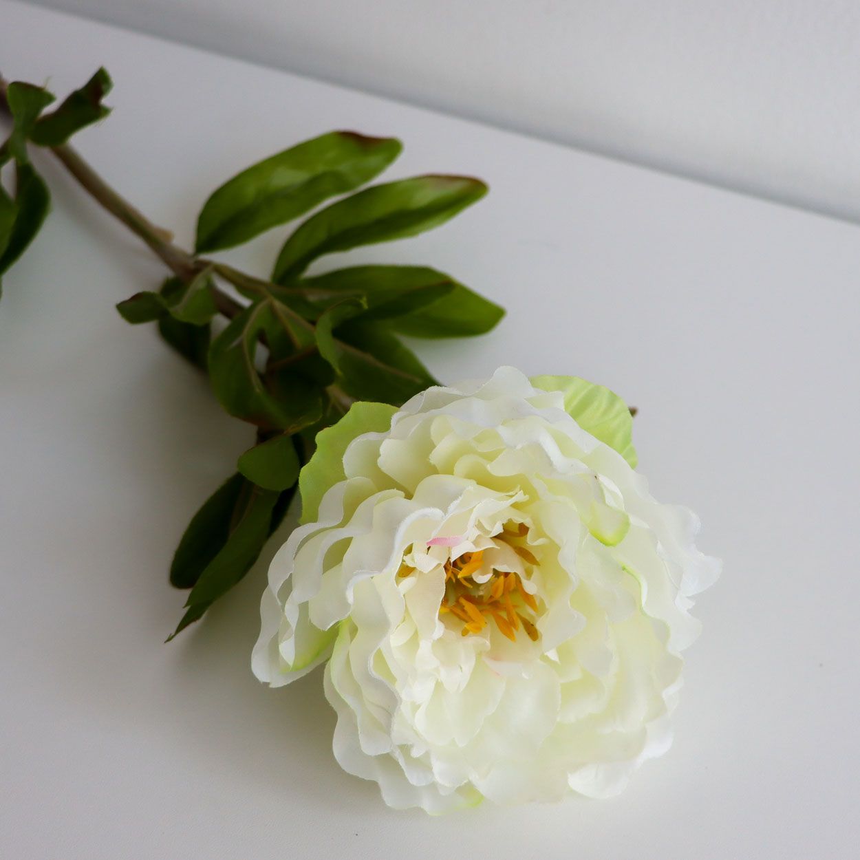 Single Peony Stem White 85cm