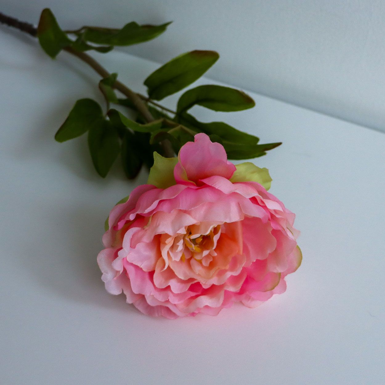 Single Peony Stem Peach 85cm