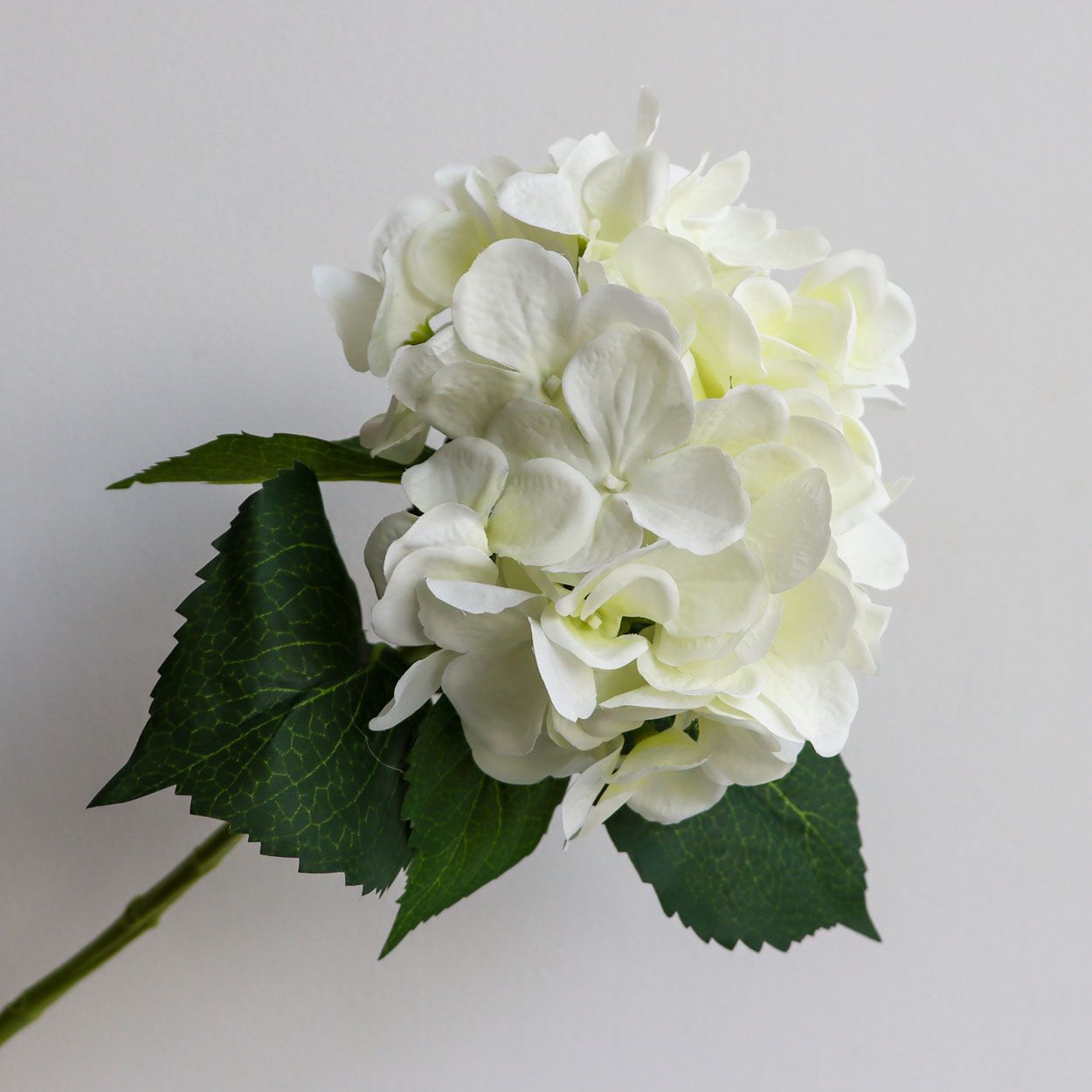 Single Hydrangea Stem White 65cm