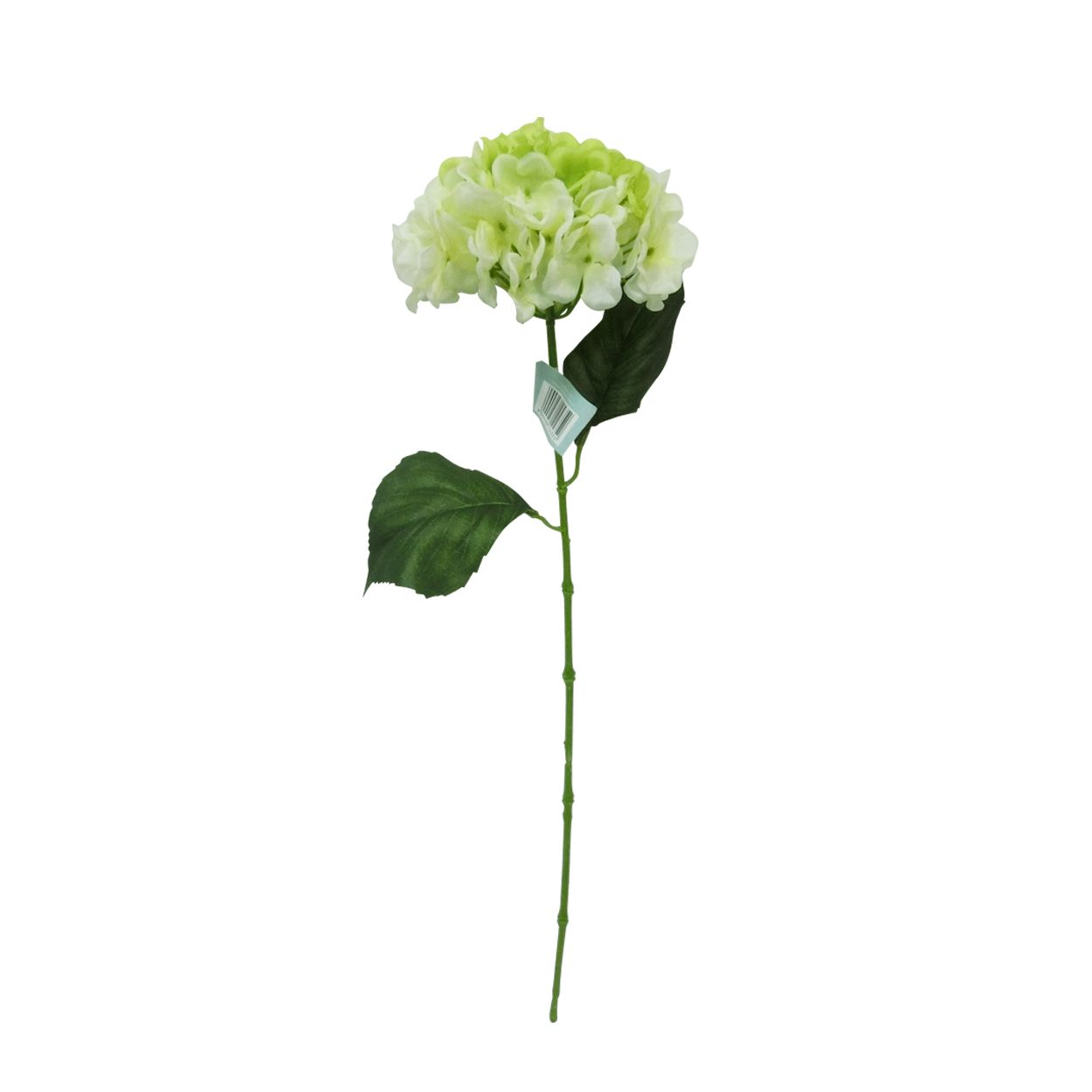Single Hydrangea Stem White 65cm