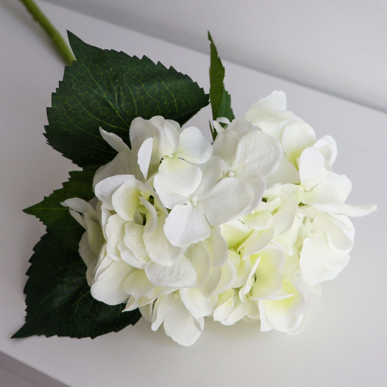 Single Hydrangea Stem White 65cm