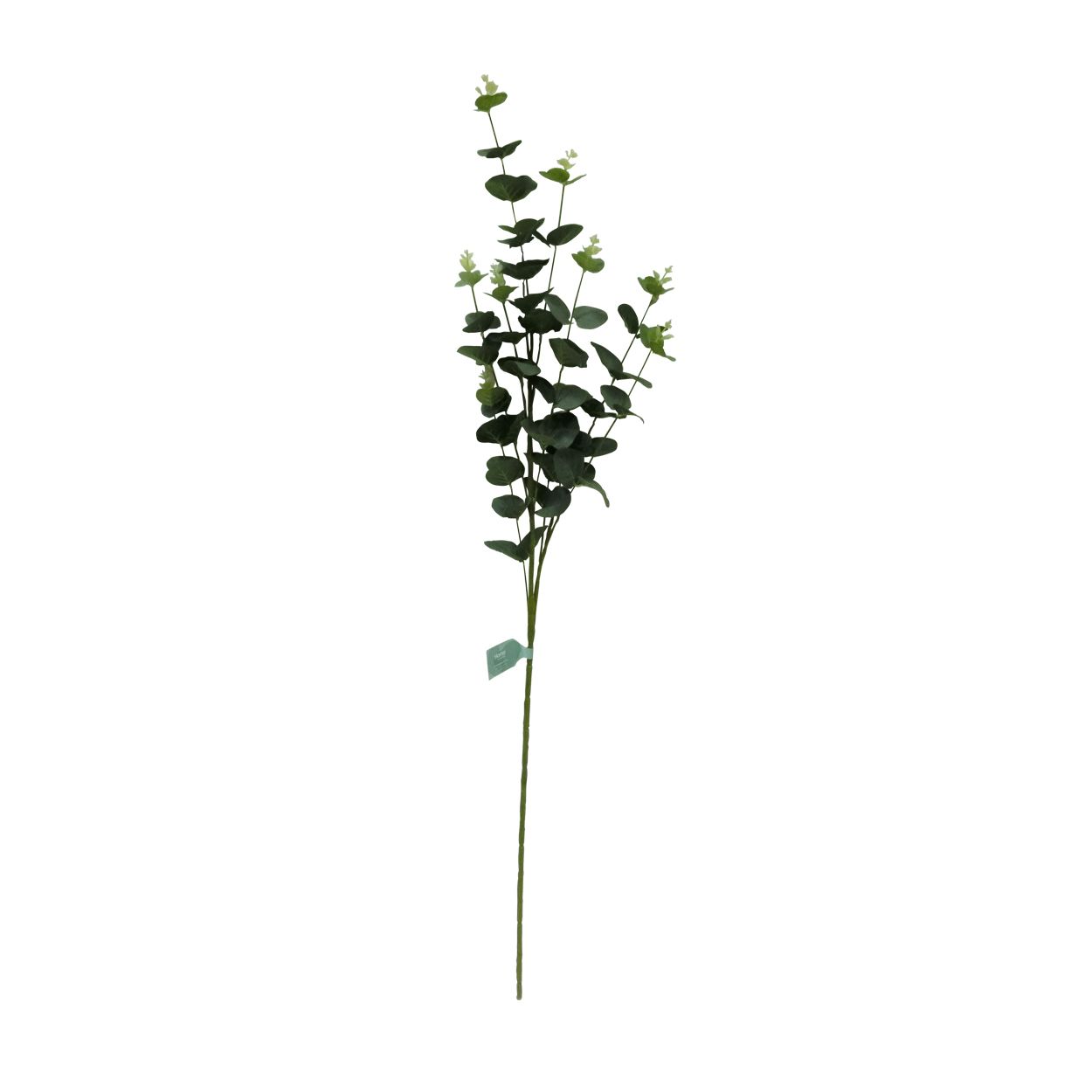 Eucalyptus Stem 92cm