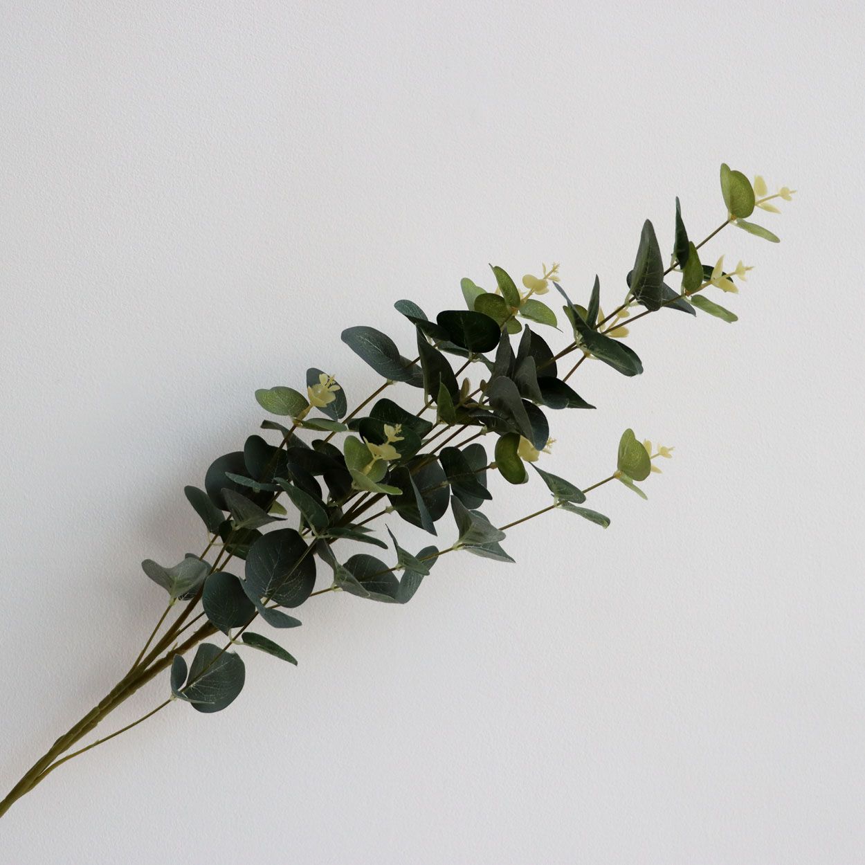 Eucalyptus Stem 92cm