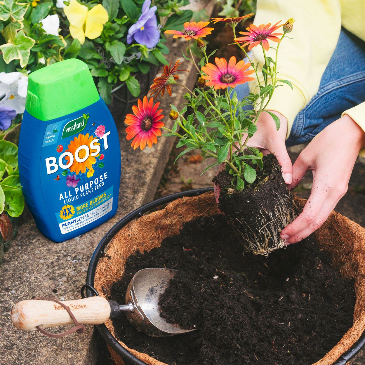 Westland Boost All Purpose Liquid Plant Food