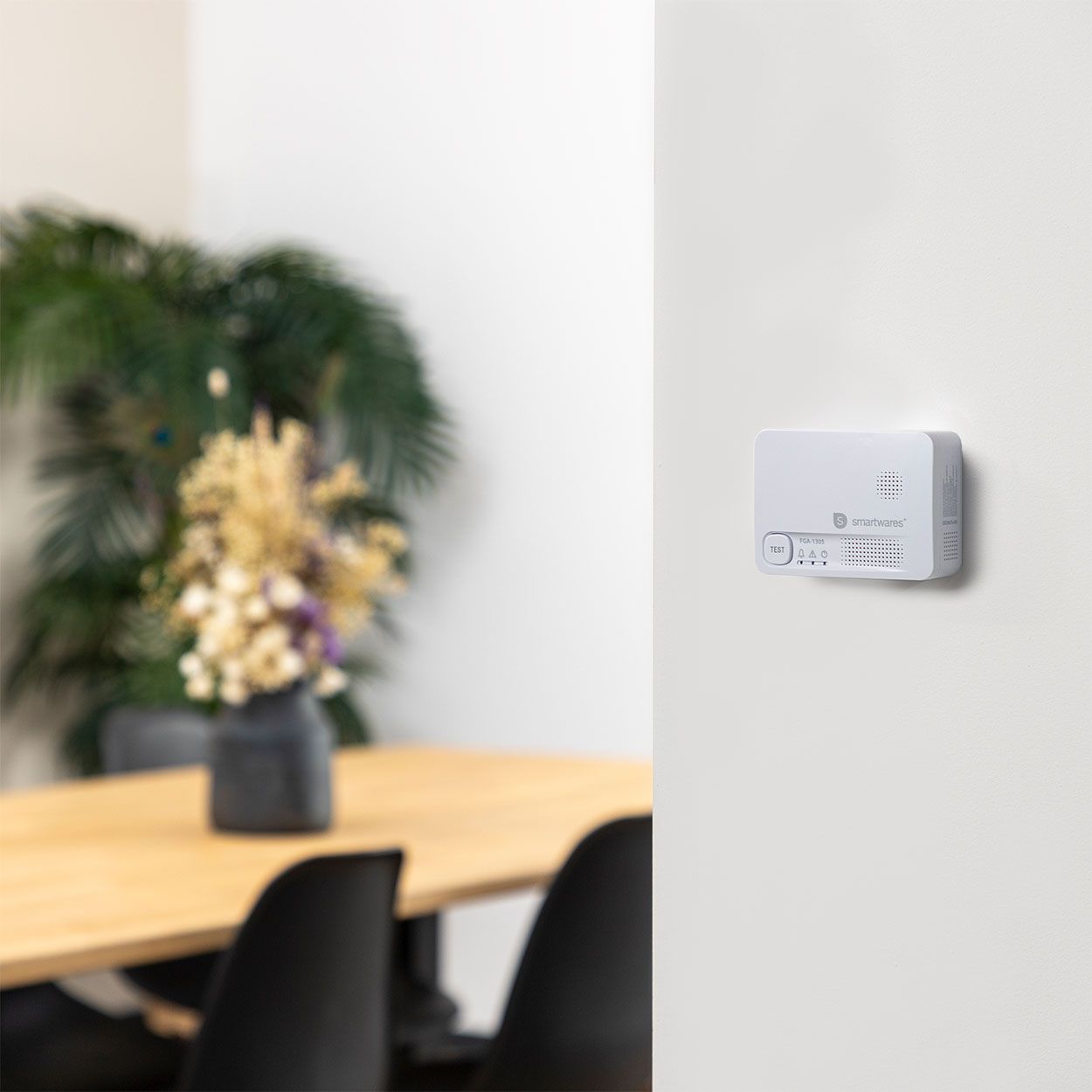 Smartwares FGA-13051 Carbon Monoxide Detector, 10 Year Sensor, Test Button, Batteries included