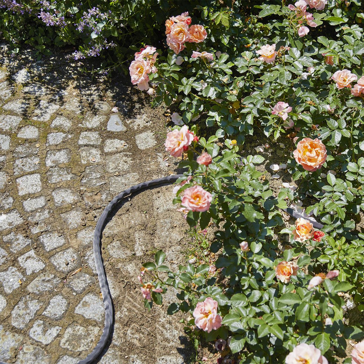 Gardena Liano Hose Set 20m