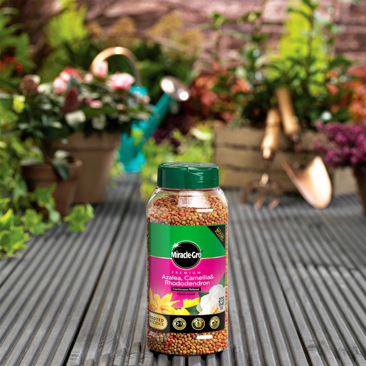 Miracle Gro Slow Release Ericaceous Food Jar 900g