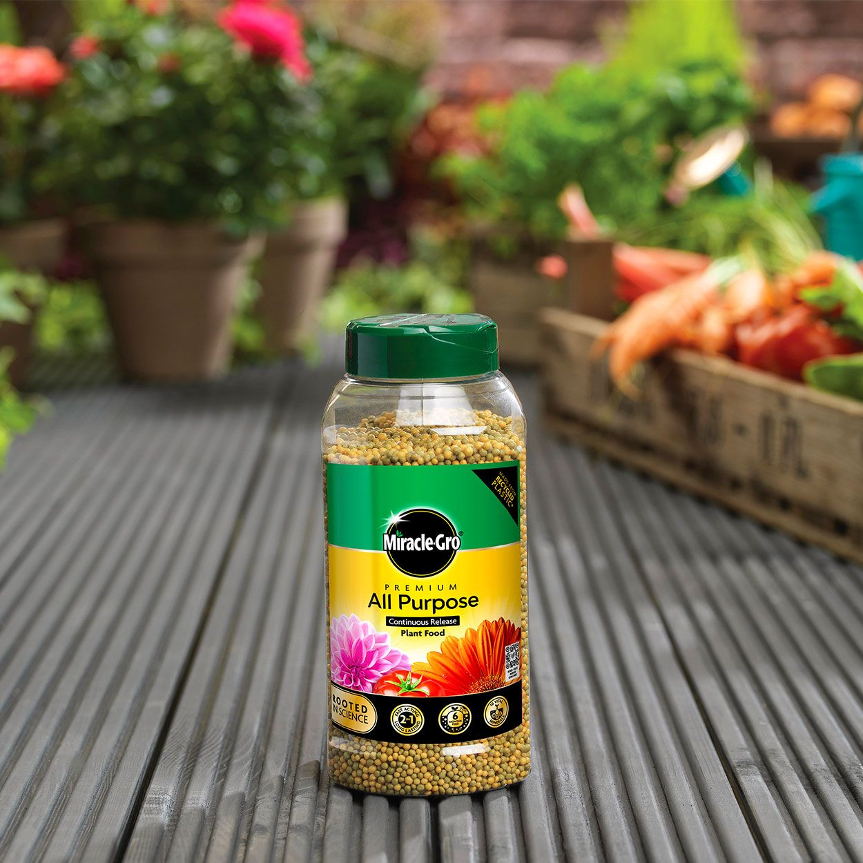 Miracle Gro Slow Release AP Plant Food Jar 900g
