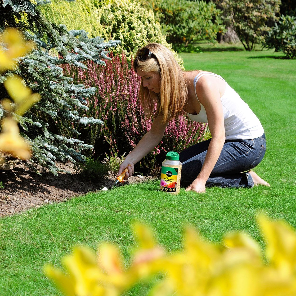 Miracle Gro Slow Release AP Plant Food Jar 900g