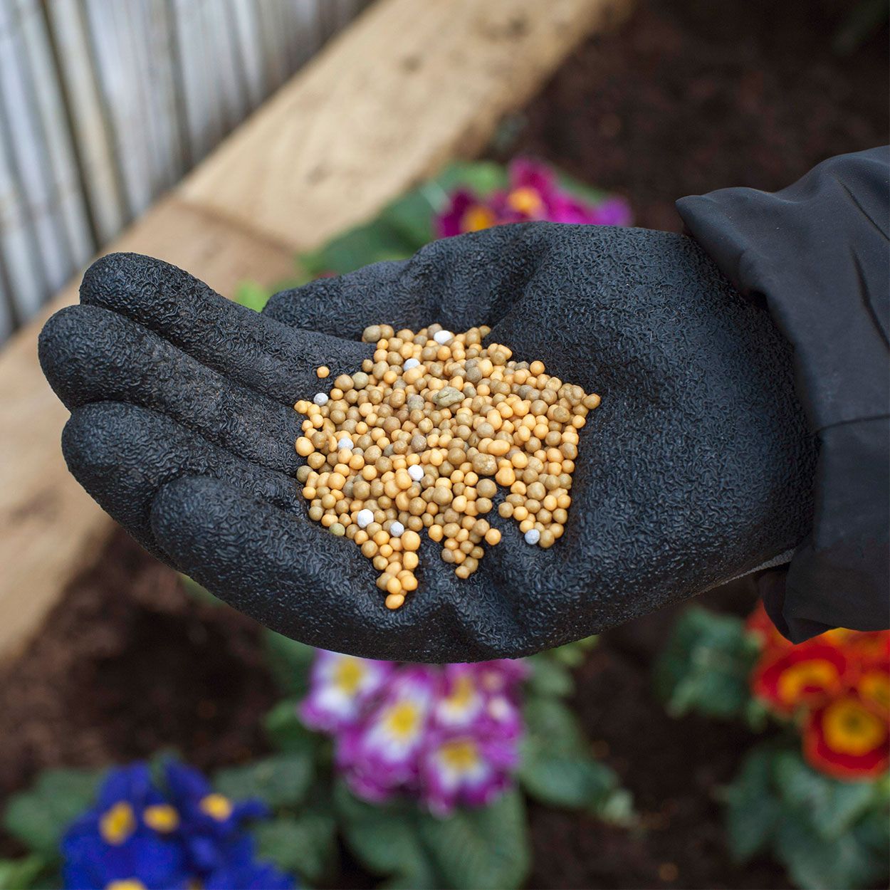 Miracle Gro Slow Release AP Plant Food Jar 900g