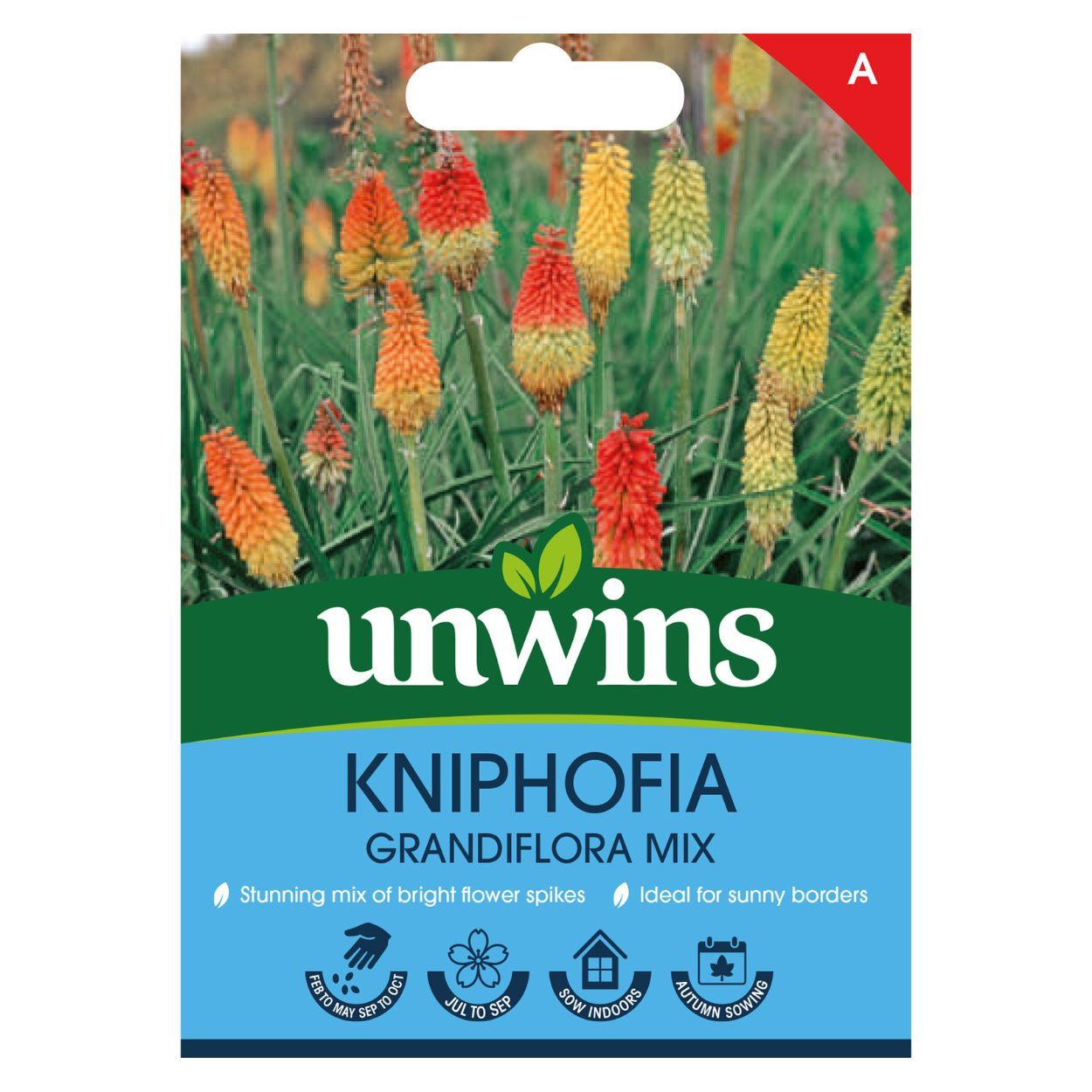 Kniphofia Grandiflora Mix