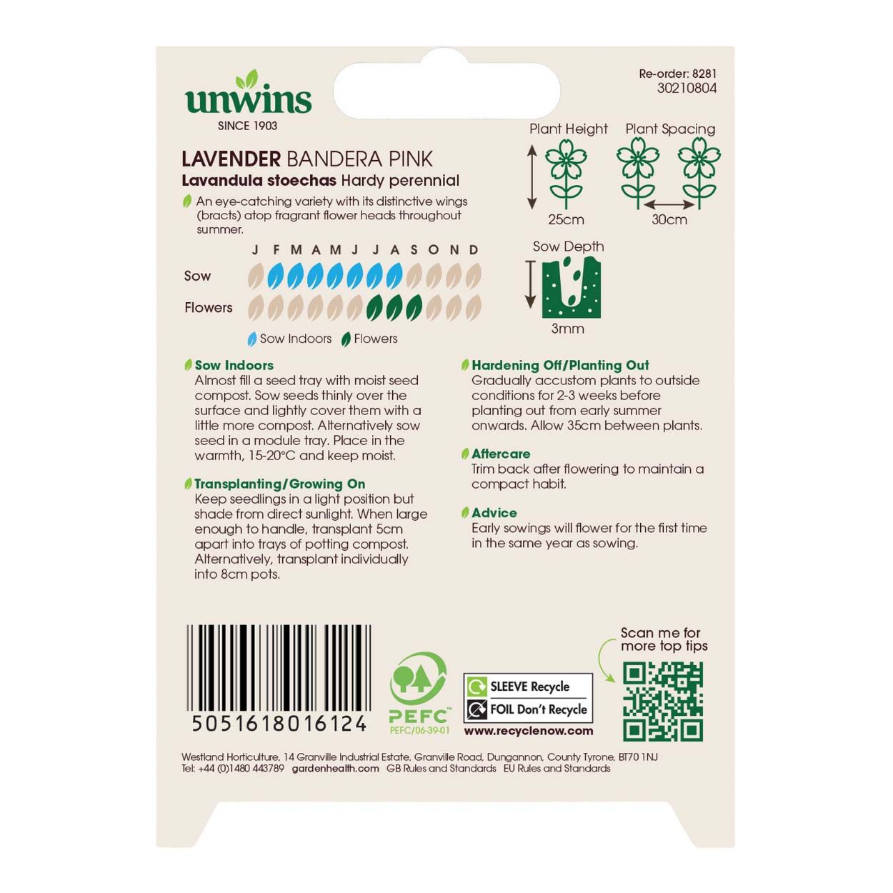 Lavender Bandera Deep Pink