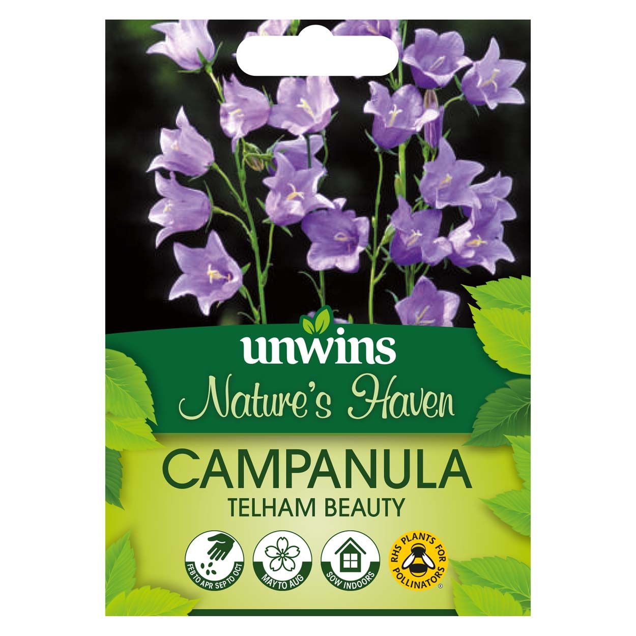 NH Campanula Telham Beauty