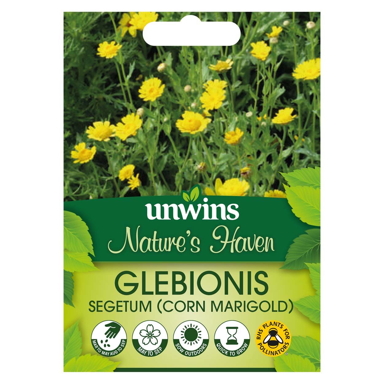 NH Corn Marigold